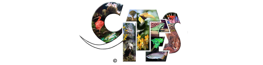 Cites